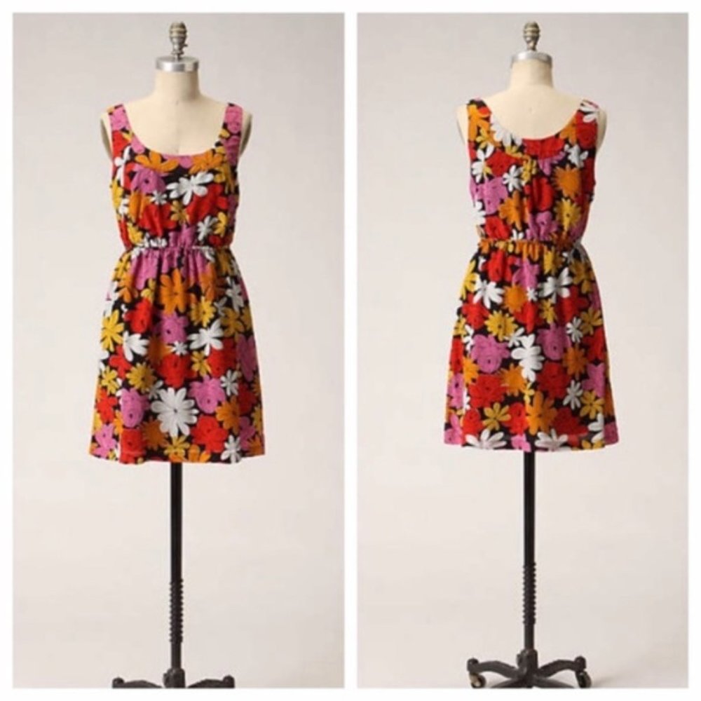 Anthro We Love Vera Charmed Habitat Floral Dress